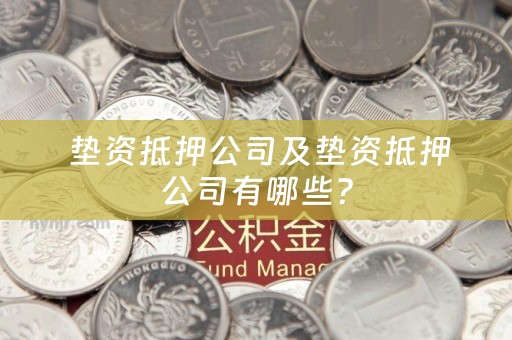  垫资抵押公司及垫资抵押公司有哪些？