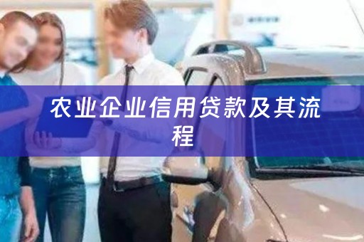  农业企业信用贷款及其流程