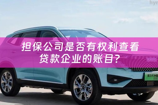  担保公司是否有权利查看贷款企业的账目？