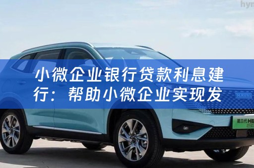  小微企业银行贷款利息建行：帮助小微企业实现发展的金融支持
