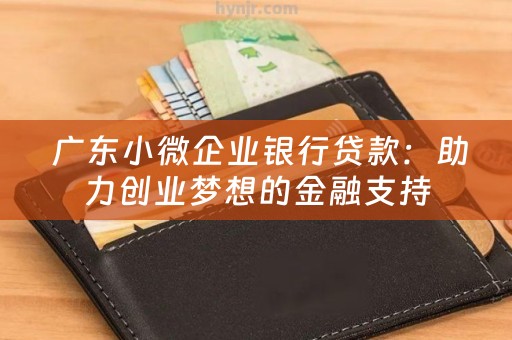  广东小微企业银行贷款：助力创业梦想的金融支持