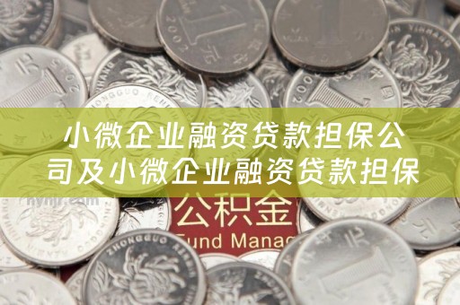  小微企业融资贷款担保公司及小微企业融资贷款担保公司有哪些