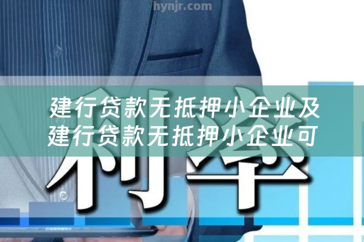  建行贷款无抵押小企业及建行贷款无抵押小企业可以贷吗