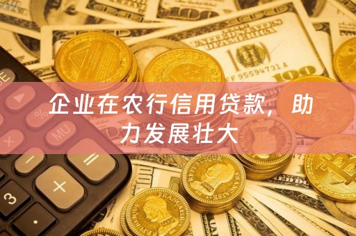  企业在农行信用贷款，助力发展壮大