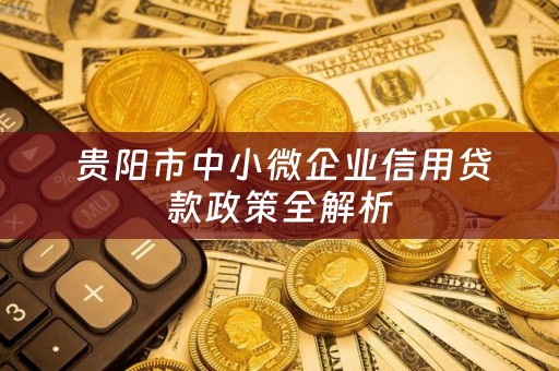  贵阳市中小微企业信用贷款政策全解析