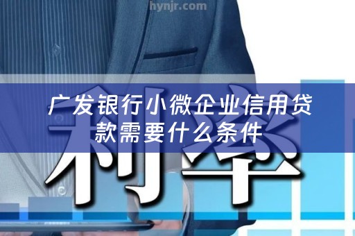  广发银行小微企业信用贷款需要什么条件