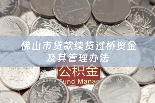  佛山市贷款续贷过桥资金及其管理办法