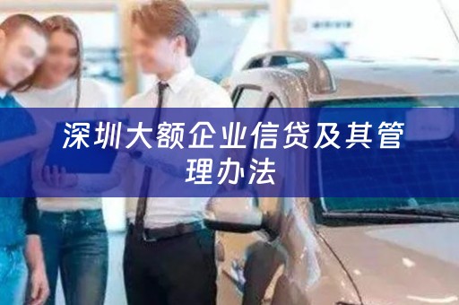  深圳大额企业信贷及其管理办法