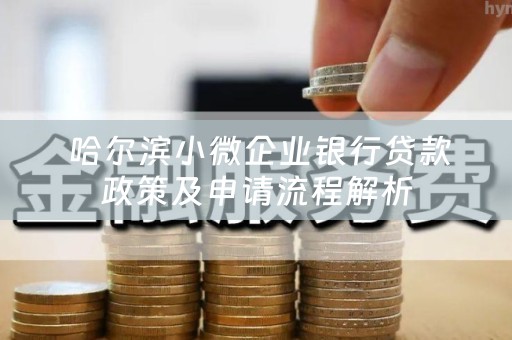  哈尔滨小微企业银行贷款政策及申请流程解析