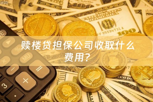  赎楼贷担保公司收取什么费用？