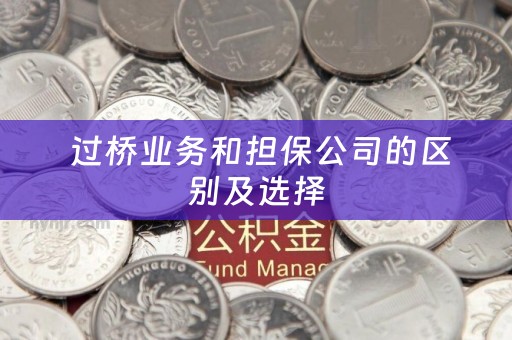  过桥业务和担保公司的区别及选择