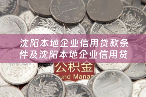  沈阳本地企业信用贷款条件及沈阳本地企业信用贷款条件是什么？