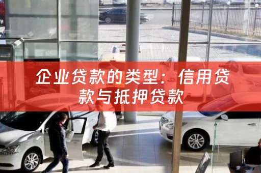  企业贷款的类型：信用贷款与抵押贷款