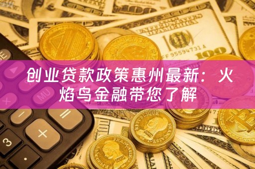  创业贷款政策惠州最新：火焰鸟金融带您了解