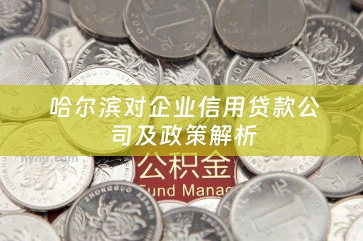  哈尔滨对企业信用贷款公司及政策解析