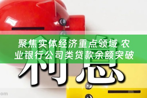 聚焦实体经济重点领域 农业银行公司类贷款余额突破12万亿元