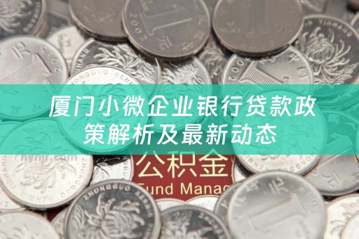  厦门小微企业银行贷款政策解析及最新动态