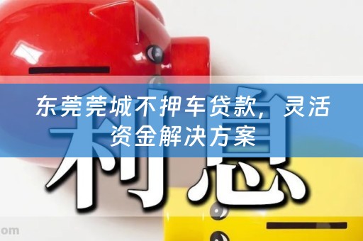 东莞莞城不押车贷款，灵活资金解决方案
