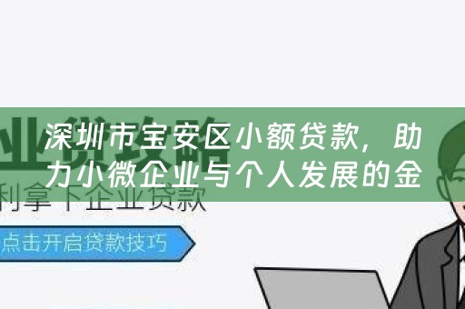 深圳市宝安区小额贷款，助力小微企业与个人发展的金融桥梁