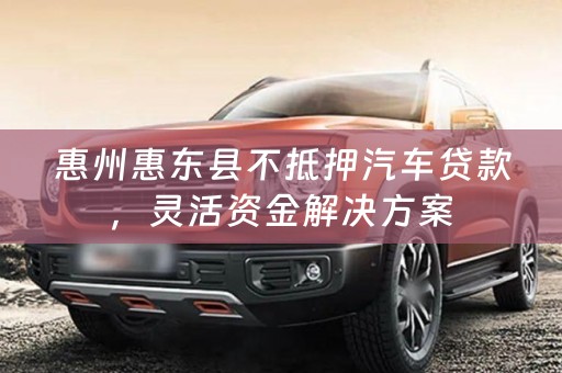 惠州惠东县不抵押汽车贷款，灵活资金解决方案
