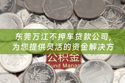 东莞万江不押车贷款公司，为您提供灵活的资金解决方案