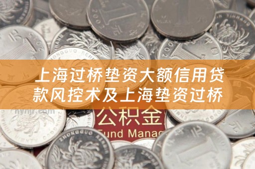  上海过桥垫资大额信用贷款风控术及上海垫资过桥公司小贷公司