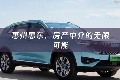 惠州惠东，房产中介的无限可能