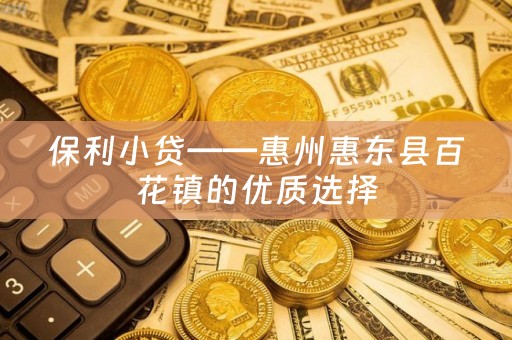 保利小贷——惠州惠东县百花镇的优质选择