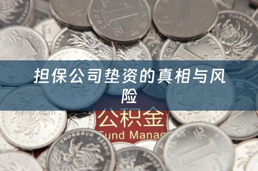 担保公司垫资的真相与风险