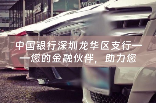 中国银行深圳龙华区支行——您的金融伙伴，助力您的梦想起航