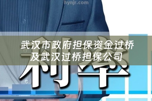  武汉市政府担保资金过桥及武汉过桥担保公司