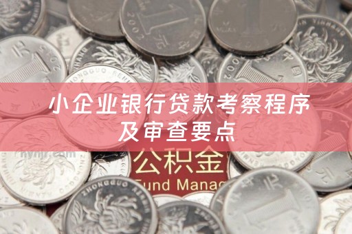  小企业银行贷款考察程序及审查要点