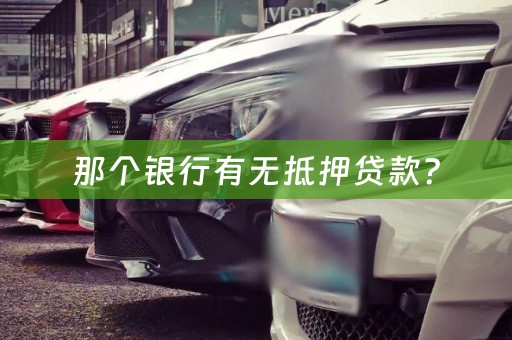 那个银行有无抵押贷款？