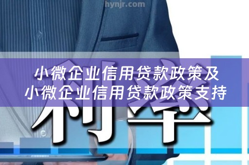  小微企业信用贷款政策及小微企业信用贷款政策支持