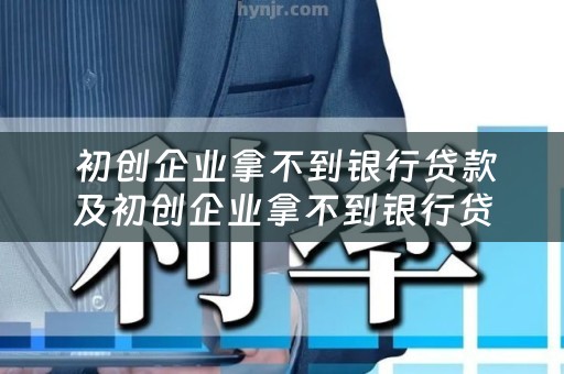  初创企业拿不到银行贷款及初创企业拿不到银行贷款怎么办
