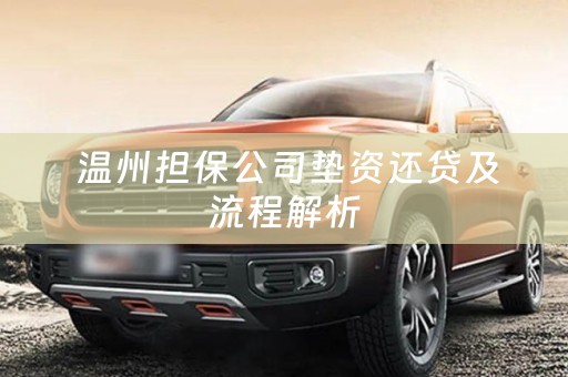 温州担保公司垫资还贷及流程解析