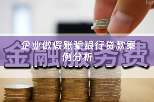  企业做假账骗银行贷款案例分析