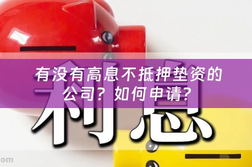  有没有高息不抵押垫资的公司？如何申请？