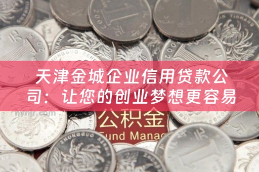  天津金城企业信用贷款公司：让您的创业梦想更容易实现