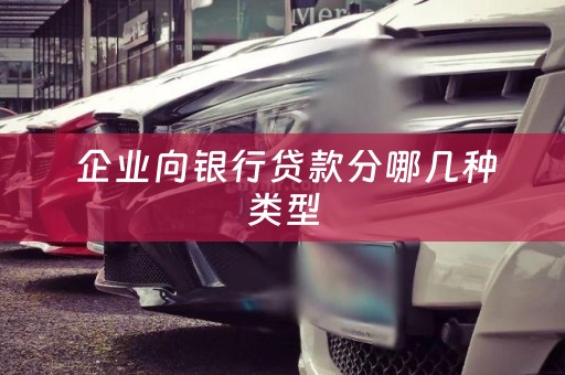  企业向银行贷款分哪几种类型