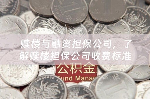  赎楼与融资担保公司，了解赎楼担保公司收费标准