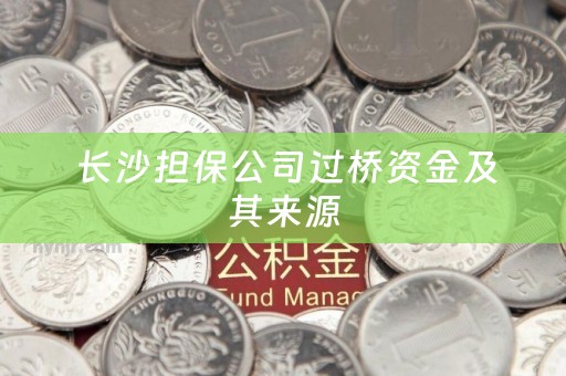  长沙担保公司过桥资金及其来源