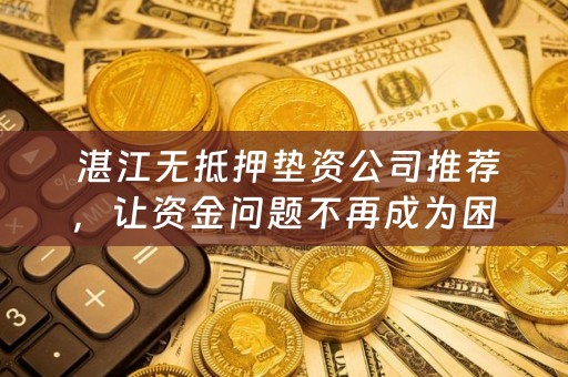  湛江无抵押垫资公司推荐，让资金问题不再成为困扰！