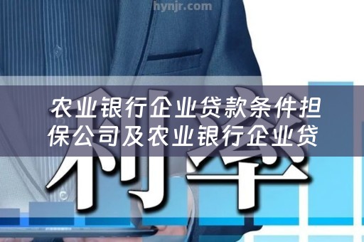  农业银行企业贷款条件担保公司及农业银行企业贷款条件担保公司可以贷吗？