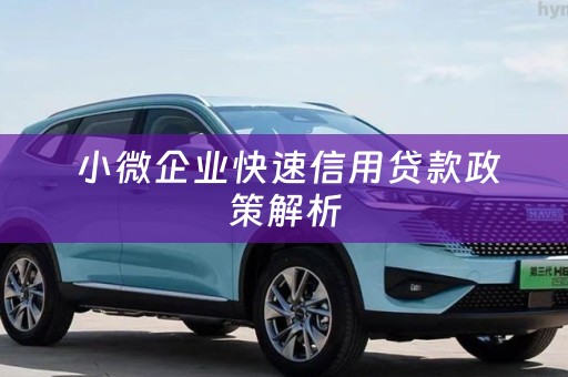  小微企业快速信用贷款政策解析