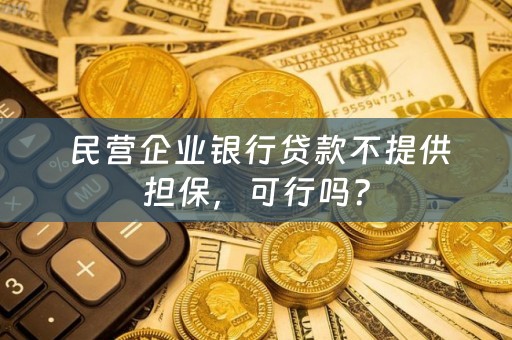  民营企业银行贷款不提供担保，可行吗？