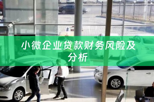  小微企业贷款财务风险及分析