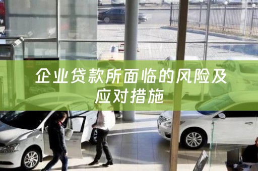  企业贷款所面临的风险及应对措施