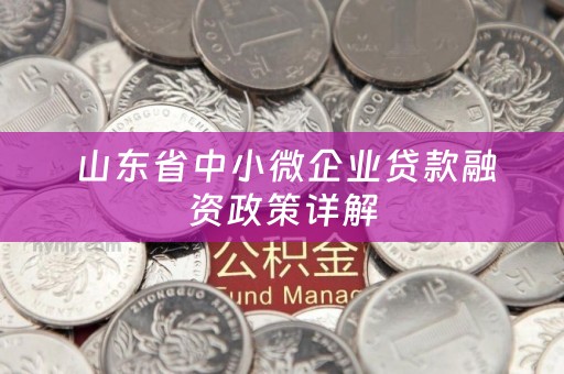  山东省中小微企业贷款融资政策详解