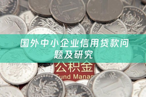  国外中小企业信用贷款问题及研究